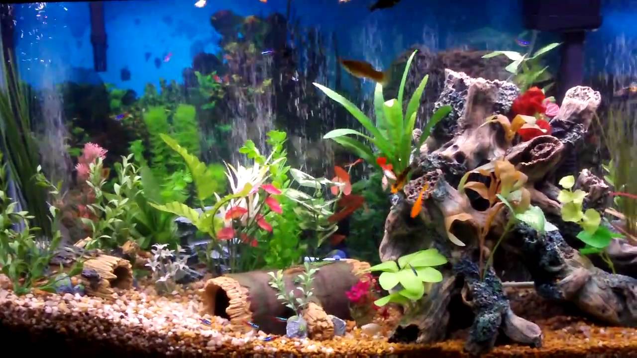 Acuario decorado artificial