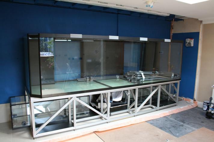 Instalación de acuario