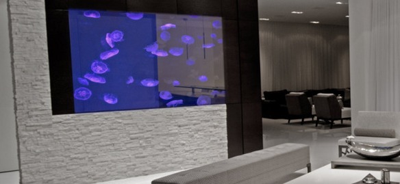 Medusario decorativo